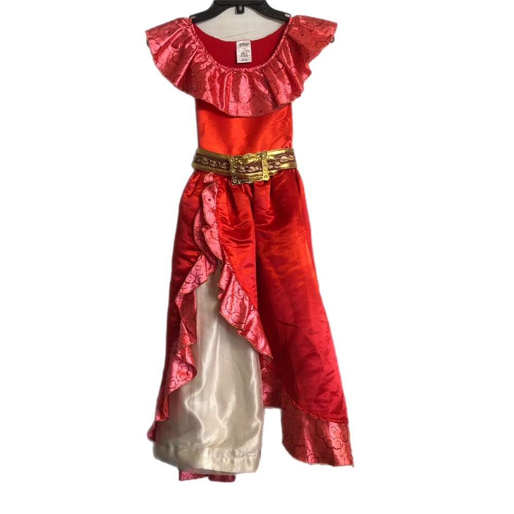 Disney Little Girl Costume.